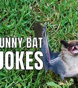Image result for Bat Jokes for Kids