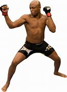 Image result for Fighting Styles in MMA