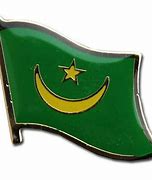Image result for Mauritanian Flag Pin