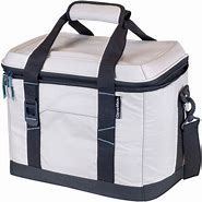 Image result for Insulated Tote Bags