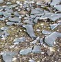 Image result for Shattered Glass Pieces