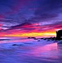 Image result for Office Computer Wallpaper Marine Life