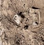 Image result for Lake Mead Human Remains