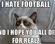 Image result for Cat Football Meme
