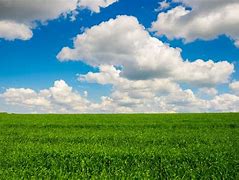 Image result for Blue Sky White Clouds Green Grass with Angel
