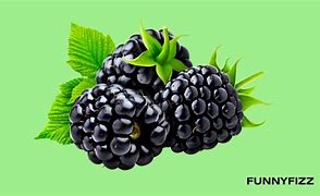 Image result for BlackBerry Pun