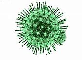 Image result for Covid 19 Virus PNG