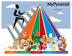 Image result for Vegetarian Diet Pyramid