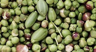 Image result for Sicilian Pantelleria Capers