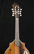 Image result for Large Mandolin