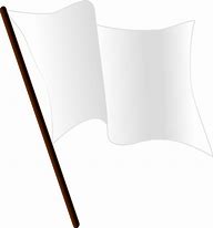 Image result for Plain White Flag