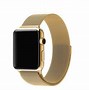 Image result for Gold and Silver Apple Watch Band