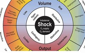 Image result for Different Types of Shock EMT