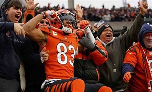 Image result for Bengals AFC Champs