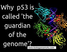 Image result for Guardian of the Genome Meme