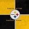 Image result for NFL Pittsburgh Steelers