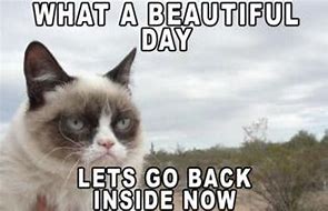 Image result for What a Beautiful Day Meme