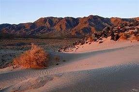Image result for California Desert Region