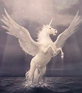 Image result for A Real Unicorn with Wings