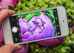 Image result for Apple iPod Touch and iPhone