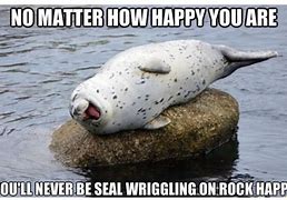 Image result for Drooling Seal Meme