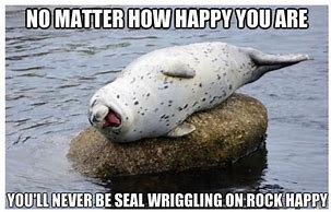 Image result for Drooling Seal Meme