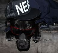 Image result for Gangster Dog Costume
