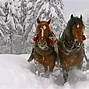 Image result for Horse Riding Background