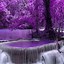 Image result for Purple Fall Background