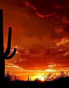 Image result for Colorful Desert Sunset