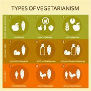 Image result for Vegetarian Personality Traits