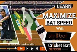 Image result for Exercises to Increase Bat Speed in Cricket
