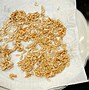 Image result for Cantaloupe Seeds