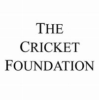 Image result for Cricket Lettering