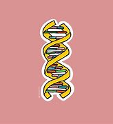 Image result for DNA Meme Sticker