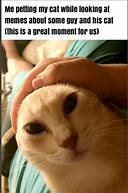 Image result for Guy Petting Cat Meme