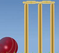 Image result for UK Cricket Sign