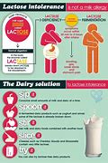 Image result for Lactose Intolerance Infographic
