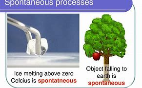 Image result for Spontaneous Process