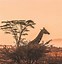 Image result for Kenya Places to Visit