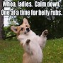 Image result for Happy Puppy Meme