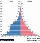 Image result for Saudi 1990 vs 2020