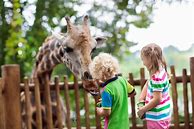Image result for Zoo Keeper Kid