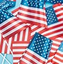 Image result for Symbol of Amercia