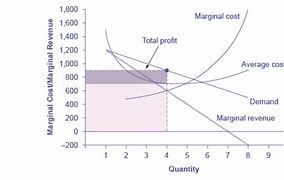 Image result for Profit-Maximizing Monopoly Graph