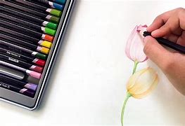 Image result for Colored Pencil Art Lessons
