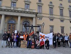 Image result for Swedish Students