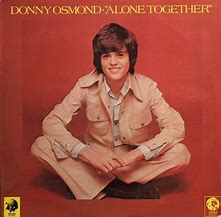Image result for Donny View the White Album Cover