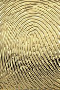 Image result for Gold Fingerprint