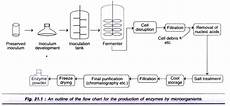 Enzyme Technology Application And Commercial Production